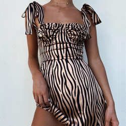 Chic Zebra Dress